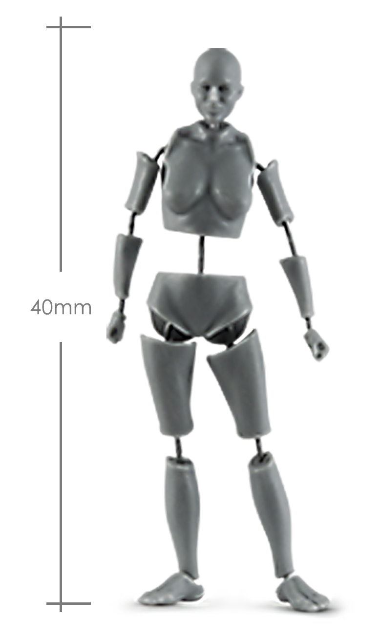 Female Anatomy Kit - 40mm_ Michael Kontraros Collectibles